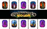 Enchanted Woods